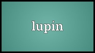 Lupin Meaning [upl. by Valentino]