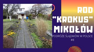 ROD Krokusquot Mikołów  historia NAJSTARSZYCH działek w Mikołowie  WYWIAD [upl. by Einamrej]