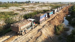 Road Building In The Background Are Stunning Dump Truck Huge Moving Dirt Power Dozer Pushing [upl. by Leoj]