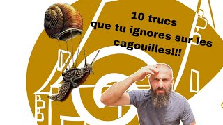 10 Dix trucs que tu ignores sur les cagouilles [upl. by Ellerehs]