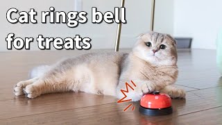 How to train cats to ring bell Cat rings the bell for treats  Teaching our cat to ring the bell [upl. by Fruma]