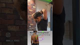 Difference between normal and overhead triceps rope extensions [upl. by Eittam]