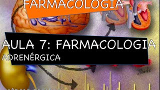 Curso de Farmacologia Aula 7  Farmacologia adrenergica  Agonistas e antagonistas indiretos [upl. by Hcirteid]