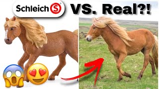 2022 Schleich Horses in REAL LIFE  Schleich Pferde [upl. by Calhoun]