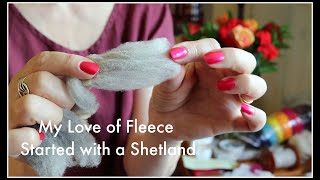 My Love of Fleece Started with a Shetland [upl. by Lekram]