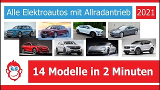 Alle Elektroautos mit Allradantrieb 2021 [upl. by Pellikka]