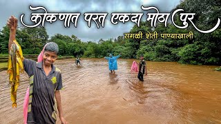 कोकणात तुफानी पाऊस🌧️सगळी शेती गेली पाण्याखाली😢गावचा संपर्क तुटलापुरात पकडले मासे🐟Heavy Rain [upl. by Forelli]