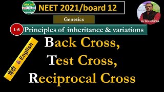 NEETL6BACK CROSS TEST CROSS  RECIPROCAL CROSSPrinciples of inheritance amp variationsBiology 12 [upl. by Nosemyaj]