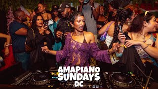 Amapiano Live Mix  AmapianoDMV x PRIYANKA [upl. by Marita395]