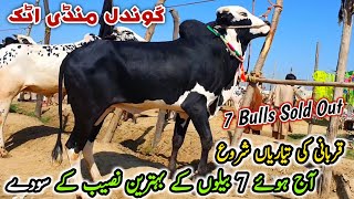 7 Bulls Sold Gondal Mandi Attock Latest Update April 2024  Qurbani Bakra Eid 2024 [upl. by Layton314]