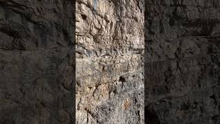 Uno dei passaggi più belli della ferrata delle Bocchette Centrali dolomiti bocchette viaferrata [upl. by Thun]