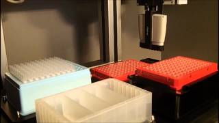 Magnetic Bead Prep 8x for DNA extraction High Throughput Lab Automation [upl. by Noskcire]