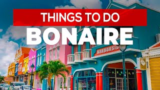 Things to do in Bonaire [upl. by Lennahc]