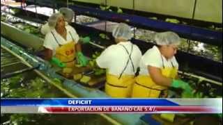 Deficit en exportacion de banano en zona del Aguan Honduras [upl. by Larentia]