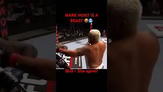 Mark Hunt is a legendary fighter 🫨😮 [upl. by Jeremie]