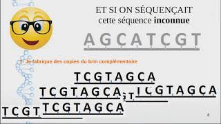 Technique Séquençage ADN [upl. by Ogait]