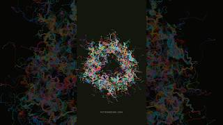 Wild bloom  creative coding generativeart mathart codeart [upl. by Terbecki]