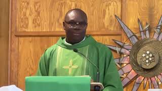 EMBRACING UNITY IN CHRIST  Homily by Fr Chika Kamalu on November 14 2024 [upl. by Hardi309]