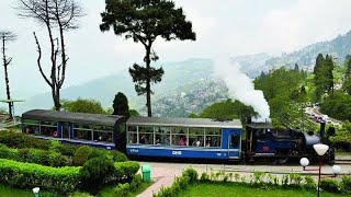 Darjeeling Toy Train darjeeling toytrain placestovisit picknic [upl. by Orferd]