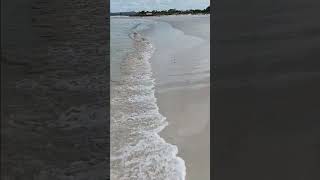 Emu Point Beach beach wabeaches Albany emupoint spring westernaustralia tourism australia [upl. by Alekal]