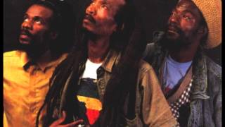 Israel Vibration Herb Is The Healing [upl. by Aehtorod]