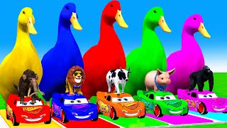 5 Giant Duck CartoonCowElephantGiraffeTigerLion Paint Wild Animals Crossing Fountain Animation [upl. by Honey]