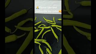 Instant Mirchi ka Achar🥹🥵😋😋😍 music song [upl. by Newcomb202]