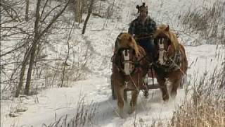 The Modern Horse Loggers of Minnesota [upl. by Mattson]