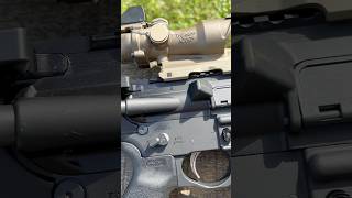 Plinking with a Trijicon ACOG [upl. by Anneis766]