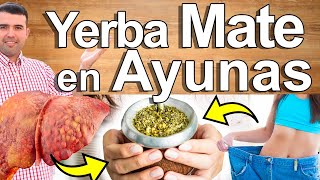 Rejuvenece Con Yerba Mate  Para Qué Sirve  Beneficios Para Tu Salud Y Belleza Del Té En Ayunas [upl. by Yssenhguahs]