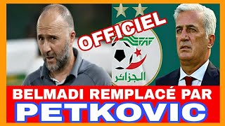 VLADMIR PETKOVIC NOUVEL ENTRAÎNEUR DE LALGÉRIE  CEST OFFICIEL petkovic belmadi faf [upl. by Catto]