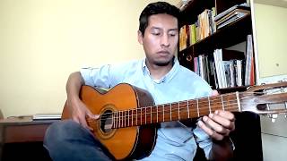 Chuscadas Ancashinas  Guitarra Solo [upl. by Pinebrook]