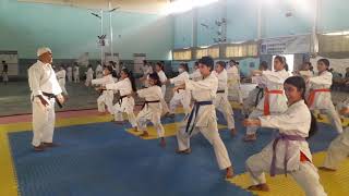 Karate Basic Training by Shitoryu Karate School [upl. by Malo]