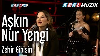 Aşkın Nur Yengi  Zehir Gibisin Kral Pop Akustik [upl. by Adaner]