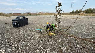 Got Some Tree  FPV Freestyle [upl. by Hnilym299]