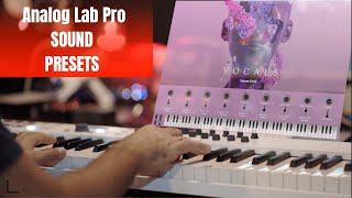 Arturia Analog Lab Pro Presets [upl. by Reed159]