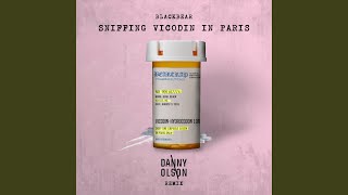 sniffing vicodin in paris Danny Olson Remix feat Danny Olson [upl. by Ann]