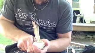 Spoon Carving with my Deepwood ventures carving knife  Lotsofwoodscom [upl. by Cerell]