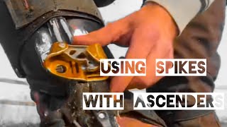 Using ascenders with climbing spikes [upl. by Sirtimid]