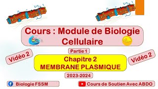 Biologie Cellulaire BCG S1  Partie de la membrane plasmique vidéo 2 [upl. by Terryn]