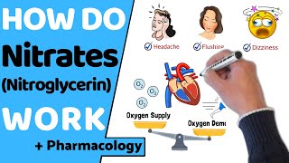 How Do Nitrates Work Nitroglycerin [upl. by Yemarej]