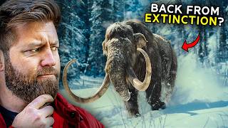 Is The Mammoth REALLY Coming Back From Extinction [upl. by Renrew]