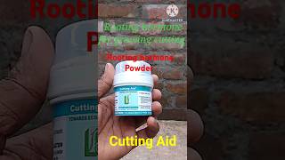 How to use rooting hormone Powderplantscuttingskillsshortsshortvideo viralyoutubeshorts [upl. by Zora174]