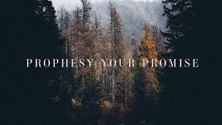 Prophesy Your Promise Lyrics  Bryan amp Katie Torwalt [upl. by Olzsal]