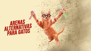 ¿Qué ALTERNATIVAS existen a las ARENAS para GATOS 👎🤔👍 ¿Serrín pellets mezcla fabricada en casa [upl. by Reynold]