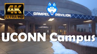 University of Connecticut  UCONN  4K Campus Walking Tour [upl. by Atiuqrahc]