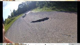 Alligator Encounter Causes Man Taking Selfie To Crash Bicycle [upl. by Scopp269]