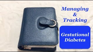 Managing amp Tracking Gestational Diabetes In My Planner [upl. by Ainotna]