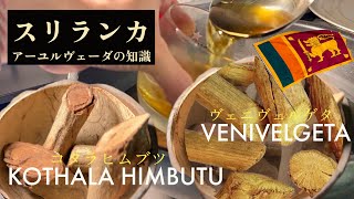 Sri Lanka Ayurveda：Kothala himbutuコタラヒムブツとVenivelgetaヴェニヴェルゲタ drink  スリランカの伝統医学アーユルヴェーダの知識 [upl. by Elexa]