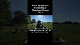 Heifer Haven Farms Custom Clover Chopping  Robson Farms agriculturefarmingorganicfarmingcaseih [upl. by Marian]